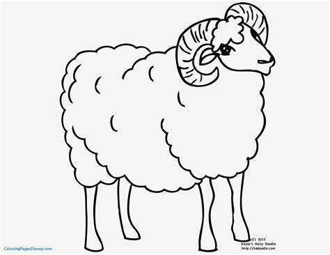 ram coloring page  getcoloringscom  printable colorings pages