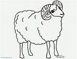 Ram Coloring Sheep Pages Baa Printable Color Getcolorings Print Getdrawings Popular sketch template