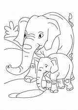 Colorare Elefanti Disegni Pianetabambini Elefante Versione Singolarmente sketch template