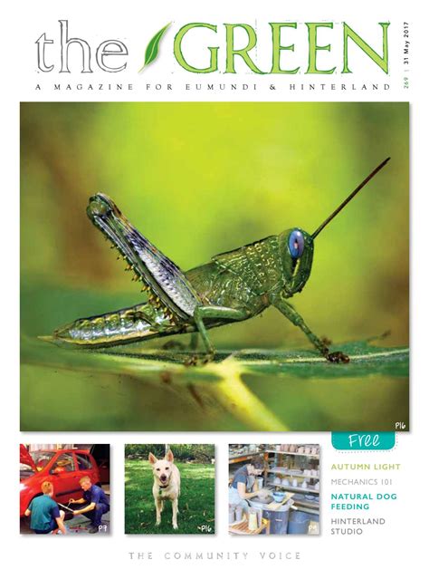 green issue       green magazine issuu