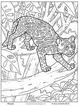 Colouring Coloring Pages Animals Animal Pattern Jungle Color Printable Kids Margay Getcolorings Print Safari Getdrawings sketch template