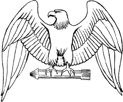 printable eagle coloring pages  kids