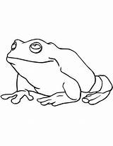 Frog Coloring Large Tree Green Drawing Pages Categories Getdrawings Frogs sketch template