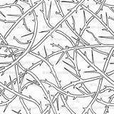 Coloring Spoonflower Outlines Thorns Interweaving Branches Back sketch template