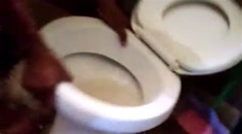 Vídeo Família Encontra Feto Dentro De Vaso Sanitário E Mulher é Presa