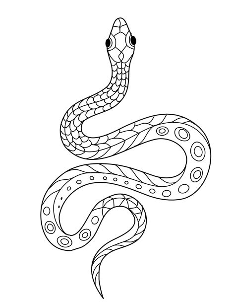 hand drawn monochrome snake coloring page  kids  adults ancient