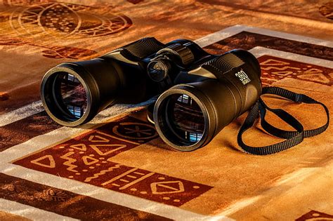 free photo binoculars birdwatching spy glass spying dawn spy