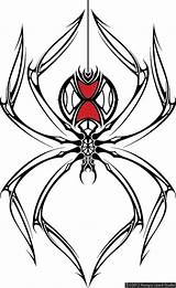 Spider Widow Drawing Tattoo Tribal Designs Clipart Simple Style Clipartbest Hungry Lizard Studio Golfian Getdrawings sketch template