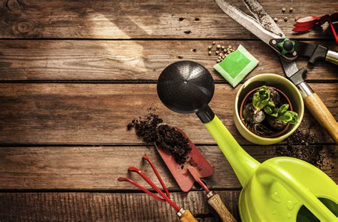 gardening gifts   deserve  green thumbs