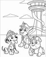 Patrouille Paw Coloriages sketch template