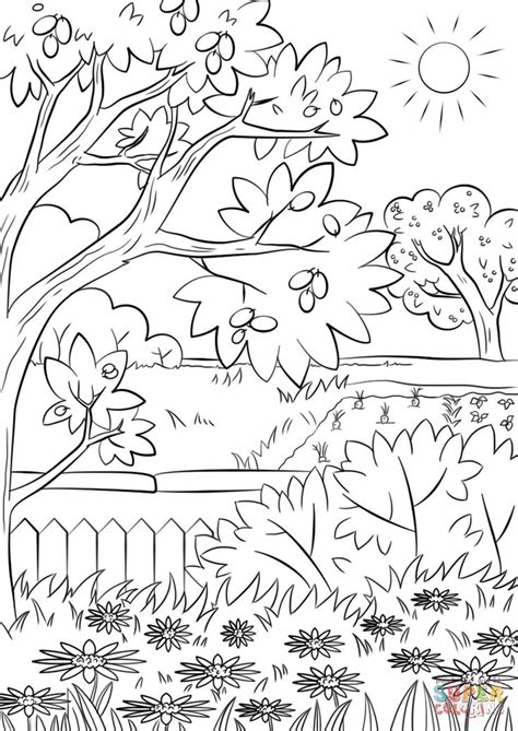 summer garden coloring page  printable coloring pages garden