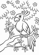 Parrot Colorear Perroquet Colouring Branche Albero Foresta Fiorito Sull Sveglio Siede Gentile Pappagallo Tulamama Pinte Dory sketch template