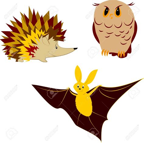 nocturnal animals clipart    clipartmag