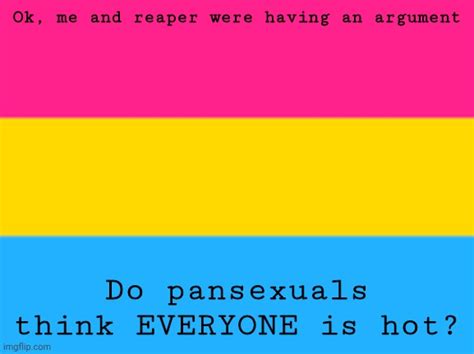 Pansexual Flag Imgflip