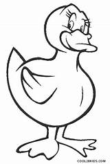 Duck Coloring Pages Ducks Donald Baby Realistic Printable Color Cool2bkids Print Getcolorings Kids Pictur sketch template