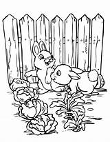 Coloring Garden Pages Gardening Vegetable Printable Sheets Kids Color Cute Print Bunnies Popular Getcolorings sketch template