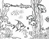 Coloring Ocean Pages Reef Aquarium Ecosystem Fish Coral Drawing Marine Plants Printable Underwater Floor Barrier Great Clipart Print Drawings Animals sketch template