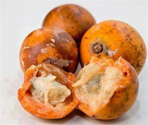 unbelievable health benefits of african cherry agbalumo udara