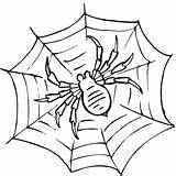 Spider Web Coloring Pages Printable Kids sketch template