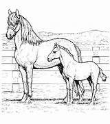 Horse Coloring Baby Pages Mom Printable Getcolorings Color Print sketch template