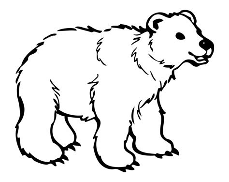 black  white coloring pages  animals   black