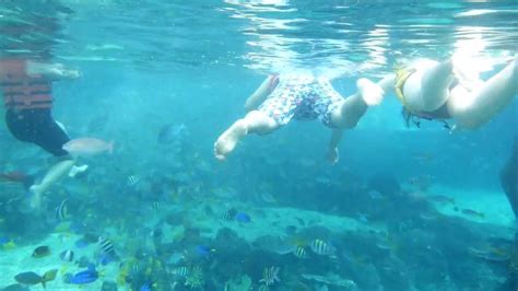 adventure cove waterpark singapore rainbow reef snorkeling youtube