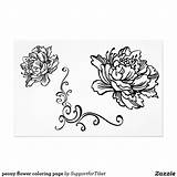 Peony Coloring Flower Getcolorings Pages Getdrawings Color sketch template