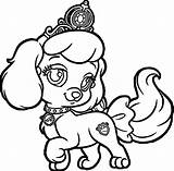 Pals Kleurplaat Hond Princes Coloringbay Kleurplaten Getdrawings Rottweiler Yorkie Pup Makkelijk Clipartmag Puppys Schattig Pumpkin sketch template