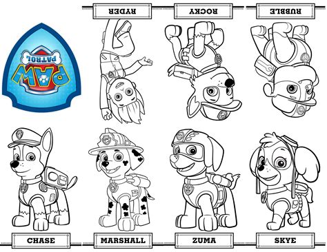 coloring pages  paw patrol birthday  images paw patrol