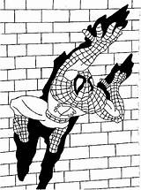 Coloring Spiderman Printable Crawling Wall Superhero Marvel Ecoloringpage sketch template