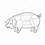 Scheme Carcasses Kadaver Schweinefleisch Antoshkaforever sketch template