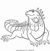 Iguana Sits Coloring Cute Pages Smiles Vector sketch template