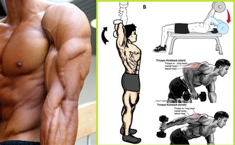 the best tricep workout for massive arms all