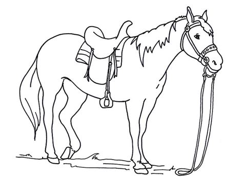 horse saddle coloring pages check   httpprinzewilsoncomhorse