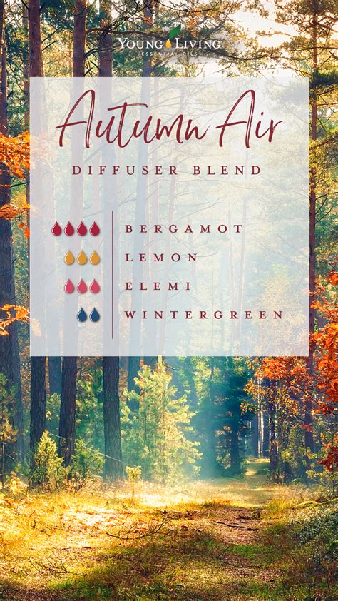 12 Amazing Fall Diffuser Blends (+ 6 Pre-Made Options)