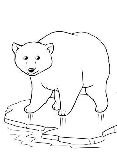 top   printable polar bear coloring pages  bear coloring