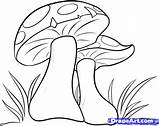 Mushroom Drawing Mushrooms Cartoon Coloring Pages Drawings Draw Step Fungi Pencil Google Color Clipart Wonderland Alice Getdrawings Kids Books Patterns sketch template