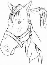 Horse Head Pages Coloring Print Color Horses sketch template