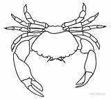 Crab Krabbe Ausmalbilder Malvorlagen Spinnen Ausdrucken sketch template