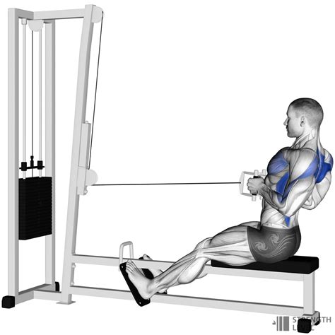 seated cable row standards  men  women lb strength level
