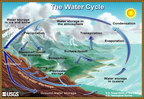 water cycle  water cycle  usgs water science basics