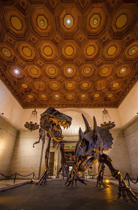 natural history museum  los angeles county review tips travel