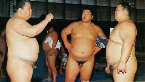 fat chubby sumo chubs naked tumblr igfap