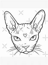 Redbubble Sphynx Lineart sketch template