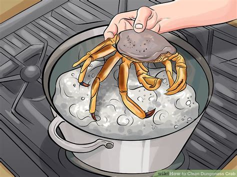 clean dungeness crab  steps  pictures wikihow life