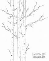 Aspen Tree Coloring Aspens Drawing Sketch Designlooter Guest Etsy Book Wedding 1500px 8kb 1203 Drawings Paintingvalley Small sketch template