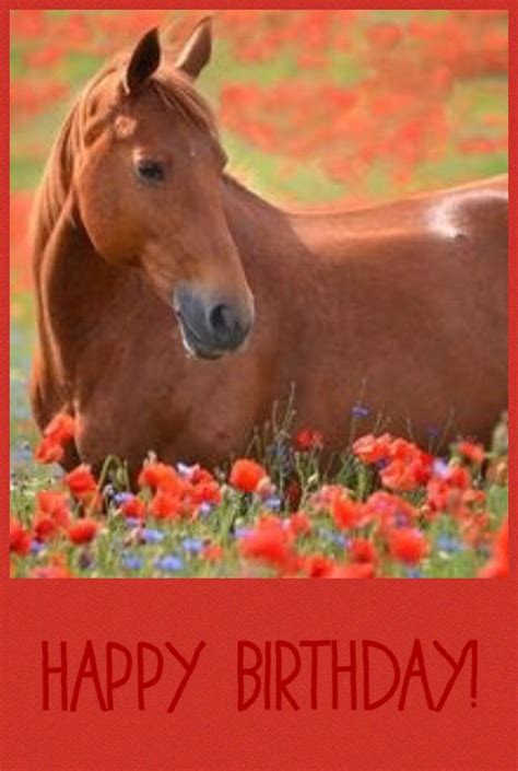 happy birthday horse birthday pinterest happy