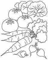 Verduras Vegetales Vegetais Recortar Imagui Laminas Recortes Legumes Verdura Stardancer sketch template