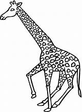 Giraffe Coloring Pages Kids Printable Giraffes Animals Bestcoloringpagesforkids Supercoloring Galloping sketch template