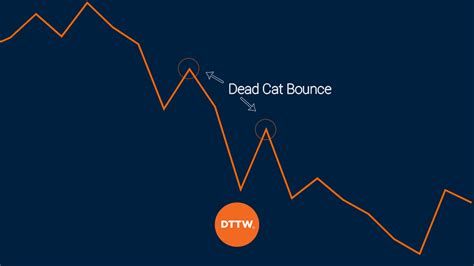 How To Spot A Dead Cat Bounce Strategies To Trade It Dttw™